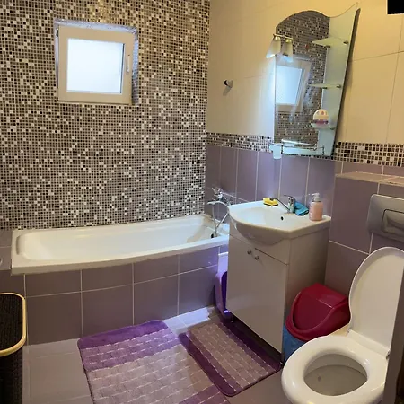 Apartament Mihaela Apartment Craiova
